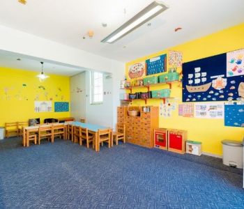 DSC 0146 316 900 800 80